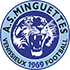 Venissieux FC