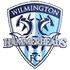 Wilmington Hammerheads