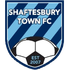 Shaftesbury Town
