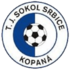 Sokol Srbice