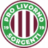 Pro Livorno 1919 Sorgenti