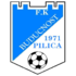 Buducnost Pilica