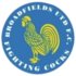 Broadfields United