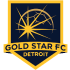 Gold Star FC Detroit