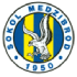 TJ Sokol Medzibrod