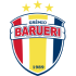 Gremio Barueri
