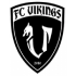 Taipei Vikings