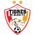 Tigres de Alica FC