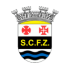 Ferreira Zezere