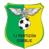 TJ Partizan Osrblie