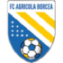 Agricola Borcea
