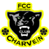 Charvein