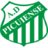 Picuiense