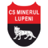 Minerul Lupeni