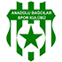 Anadolu Bagcilar Spor